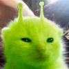 alien.go.zip.zip