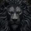 mohamedahmedash3