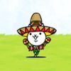 gato.amigo
