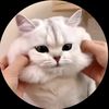 reyman_wln
