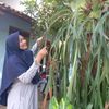 utisyauqishop