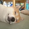._.03012