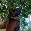 emre_vurur58_07