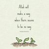 theamazingazaan12