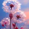 oanh.oanh843