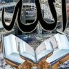 aysha.aysha.hrdan