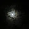 fatimafalh