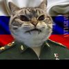 vor.penisov