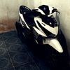 dontol542