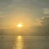 yyi_236