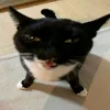 tanhv.dptrai