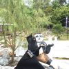 2288ainunmardhiah