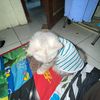 me.task