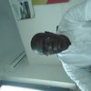 user724416784