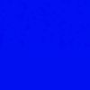 david_net2