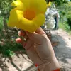 halyna21479