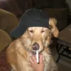 pasthemolly