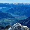 paddy_2023