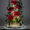 lidianelidiane495