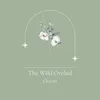 thewildorchidflorist