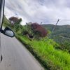 brihan_r23