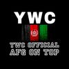 YwC・xTİKTOK