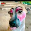 karylovepink