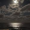 __moha2456