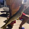 maxfishing10