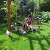 sandra_nemteconto