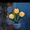 roble454