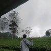 bisriakhmd