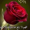 user2650151382118