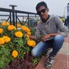 moinul419