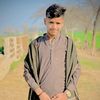 alihamzaali055