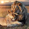 Wild Animals