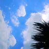 user310588400