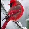 user1435ghjk6654