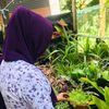 fara_official_07