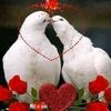 user11975761313583