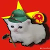 phongsiuuuuuuuuuu
