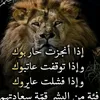 user8848258365