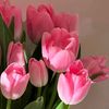 its.karli28