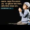 shawalom4