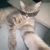 maimi_og