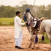 chshahrozismail1