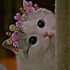 kim_shamima