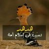 user7091091418209