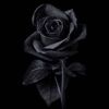ore___11