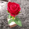 muhammed_ali890